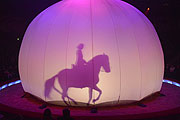 Jana Lacey-Krone hat ein Pferd "auf dem Mond landen lassen" - Schattenspiel auf dem Mond mit einem Pferd in der Manege (©Foto: Ingrid Grossmann)